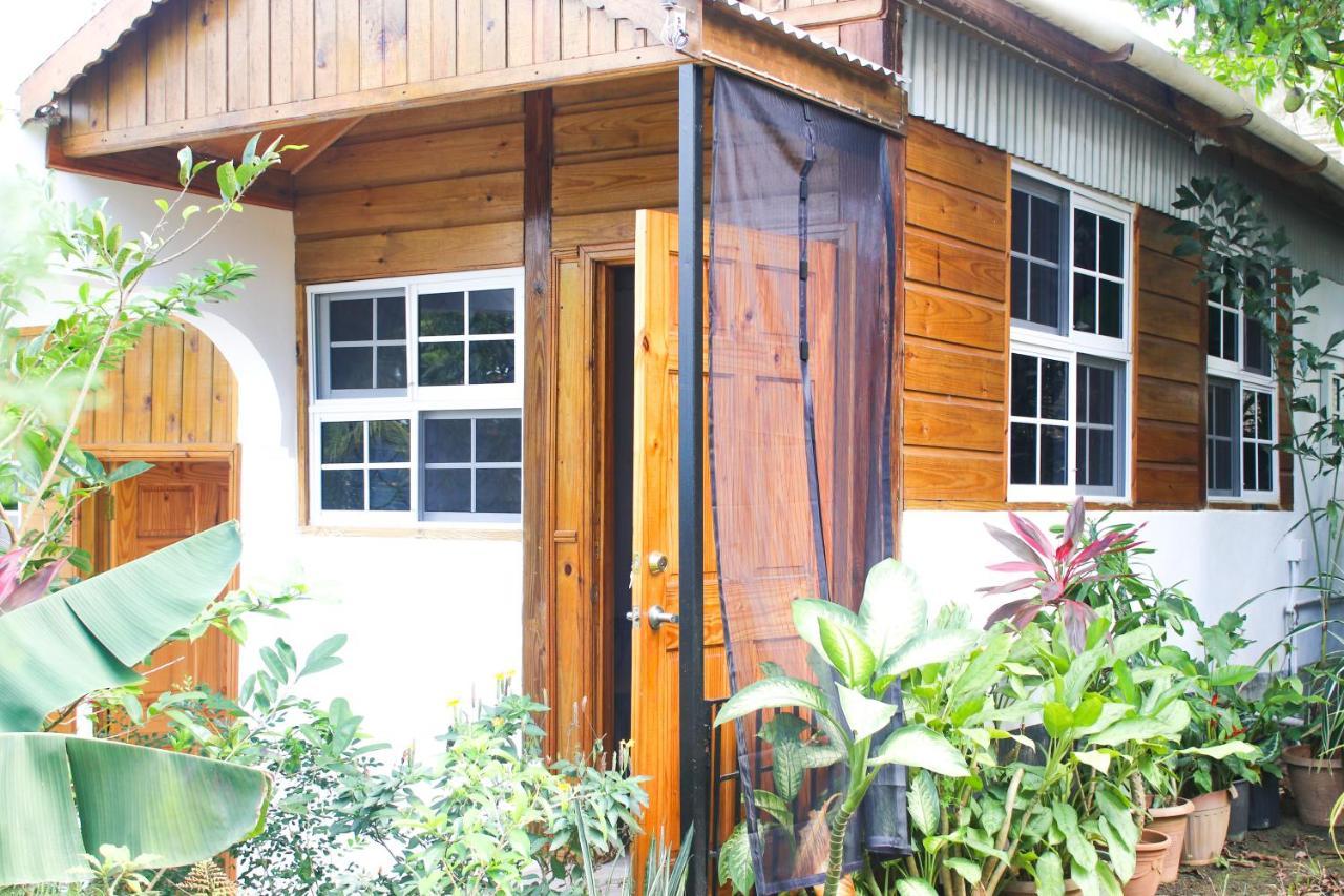Van Villa Guesthouse Negril Buitenkant foto